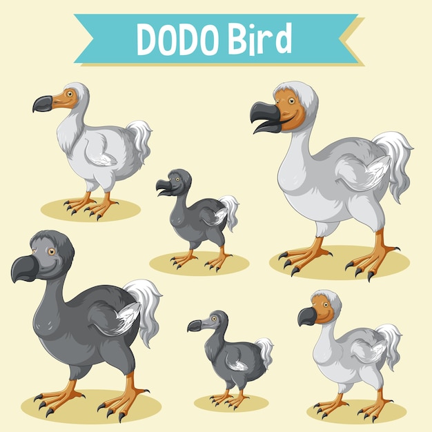 Set of dodo bird cartoon sticker