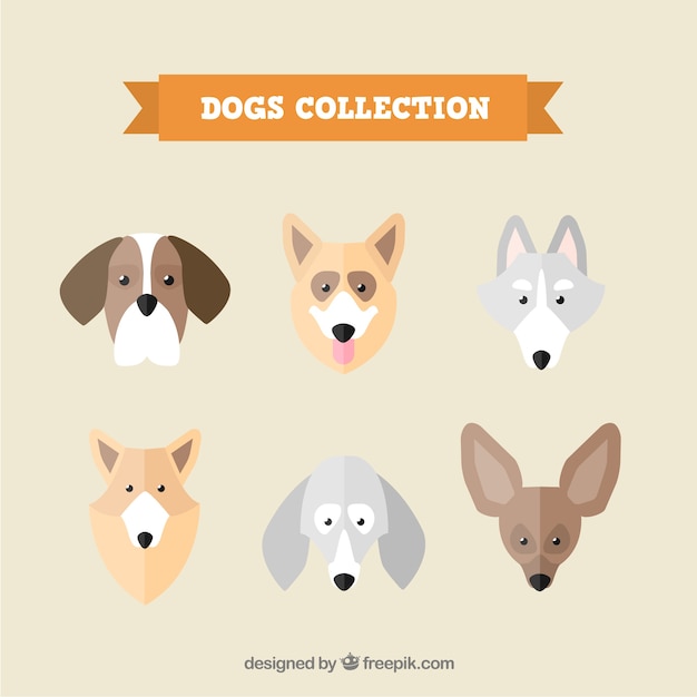 Free vector set of dog houses in flat design