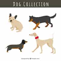 Free vector set of dogs of different races