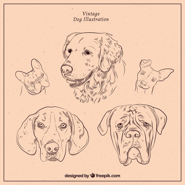 Set of dogs in vintage style