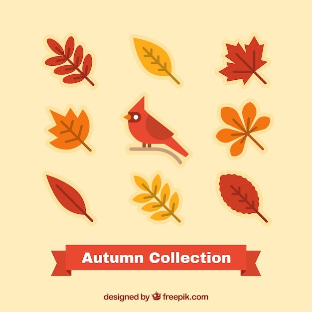 Free vector set of dry leaves and bird in flat design