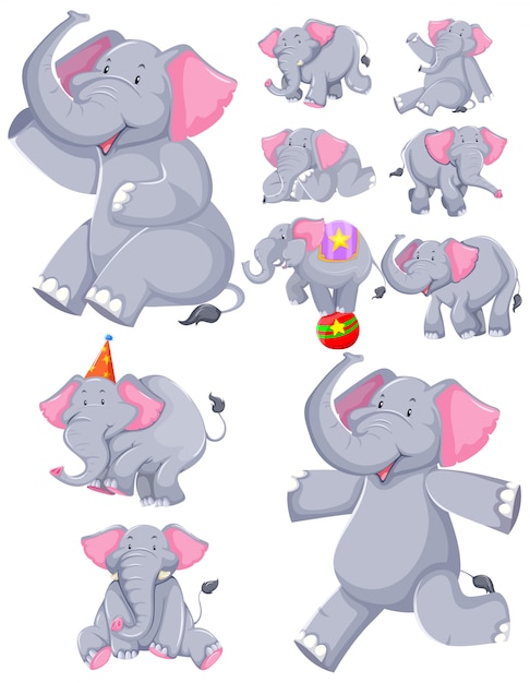 Free vector set of elephant cartoon character