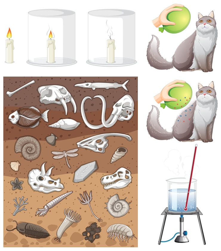 Free Vector set of equipment needed for science experiment