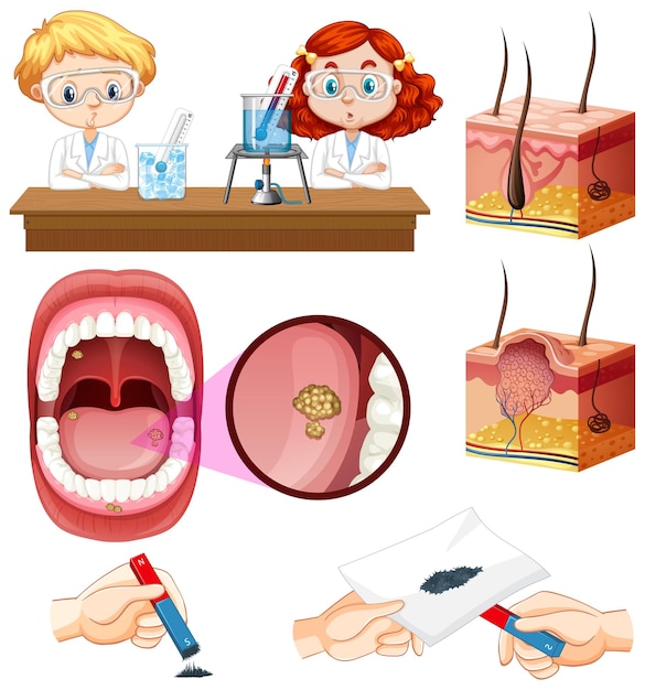 Free vector set of equipment needed for science experiment