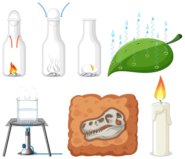 Free vector set of equipment needed for science experiment