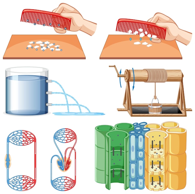 Set di attrezzature necessarie per esperimenti scientifici