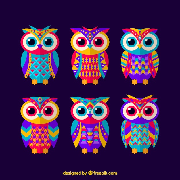 Set of ethnic colored owls