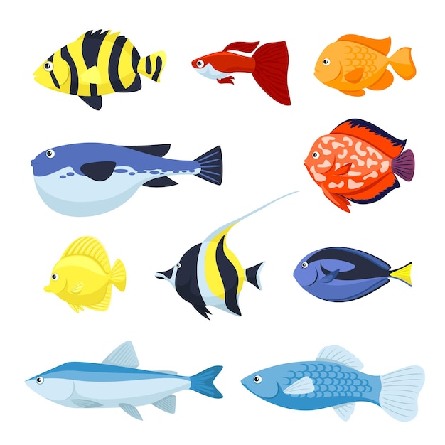 Set of fish for aquarium, sea and river animals illustration