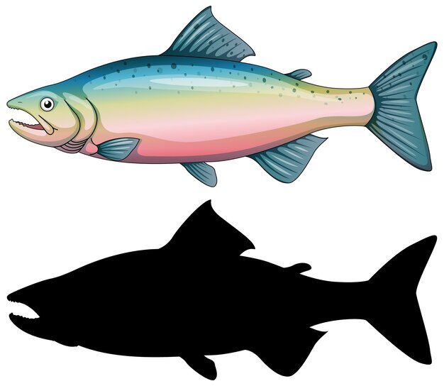 魚のキャラクターとそのシルエットの白い背景のセット