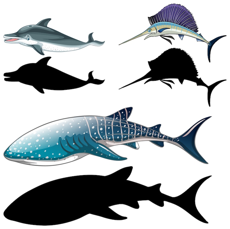 Free Vector set of fish characters and its silhouette on white background