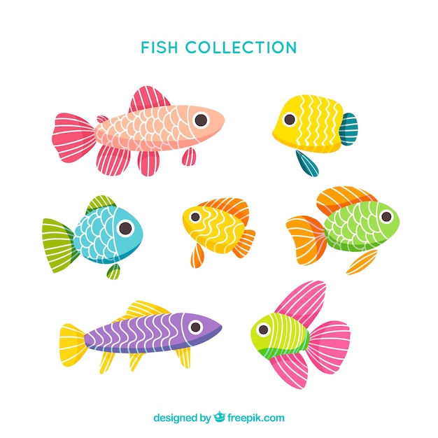 Free vector set of fish with big eyes