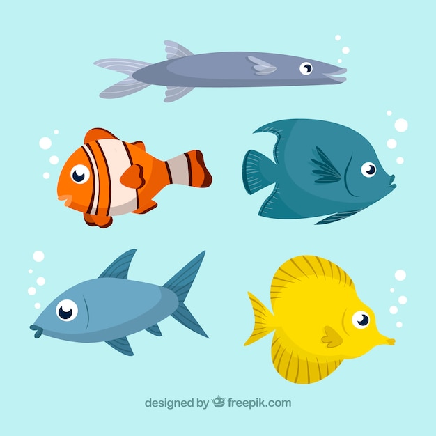 Set of five fish