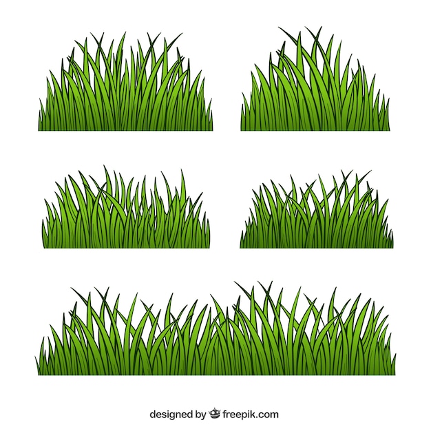 Set of five hand-drawn grass borders