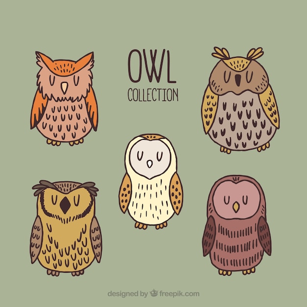 Free Vector set of five hand-drawn owls
