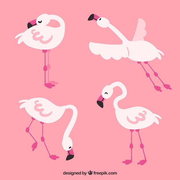 Free vector set of flamingos in different poses