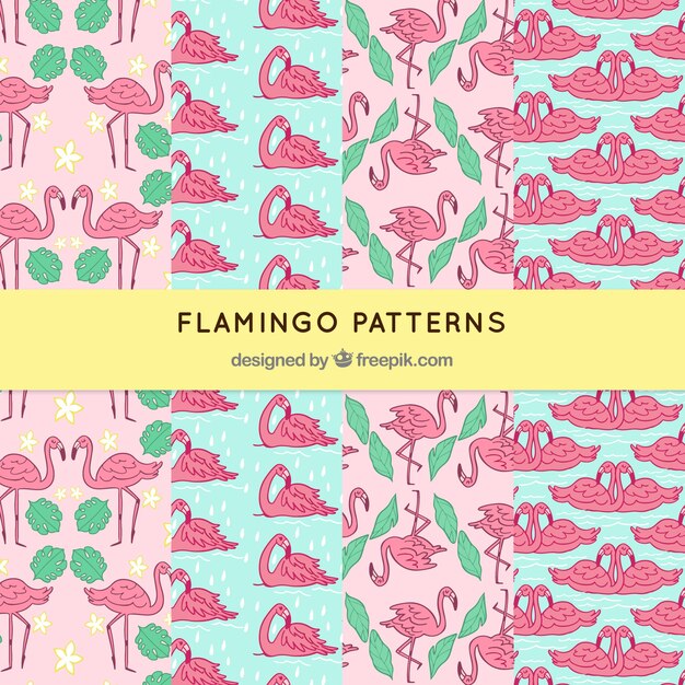 Набор фламинговых узоров с растениями