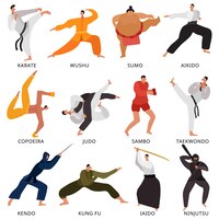 Set di icone piatte combattenti di varie arti marziali