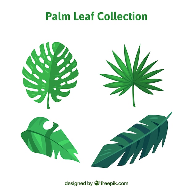 Set of flat palm leaves in green tones