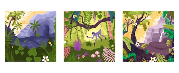 Set of flat square compositions with colorful views of rainforest with plants and animals