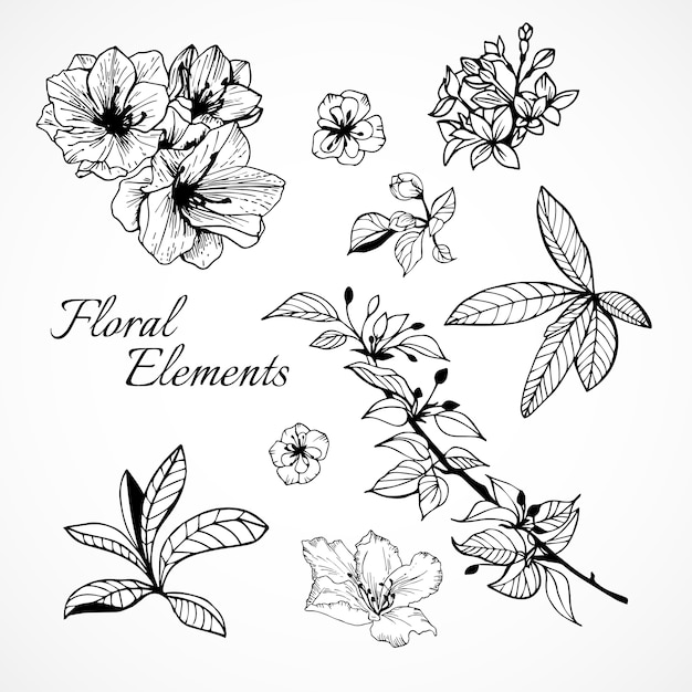 Set of floral elements