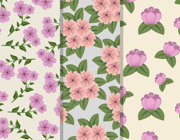 Set of floral style with petals and leaves patterns