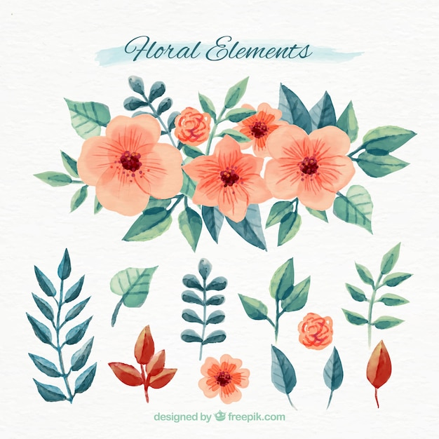 Free vector set of floral watercolor elements