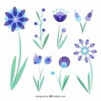 Free vector set of flowers in flat design