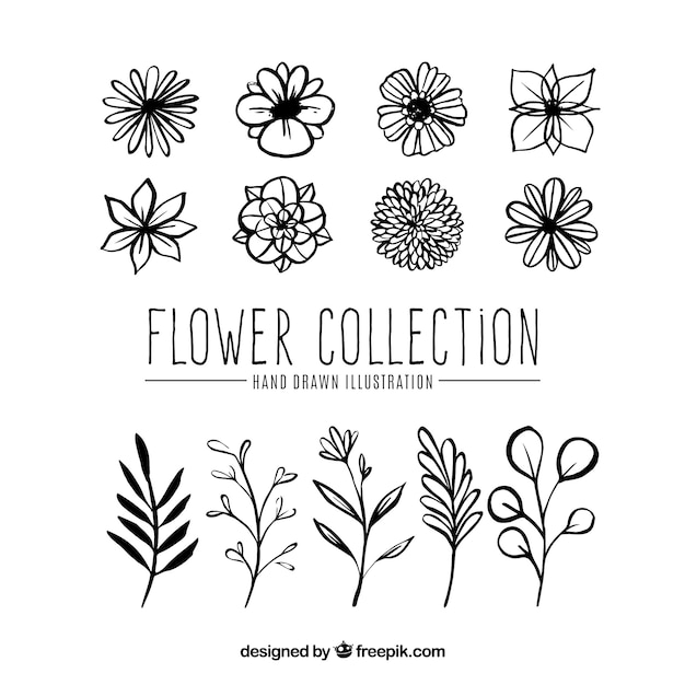 Vettore gratuito set di stile disegnato fiori in mano