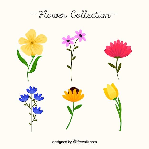 Free vector set of flowers in hand drawn style