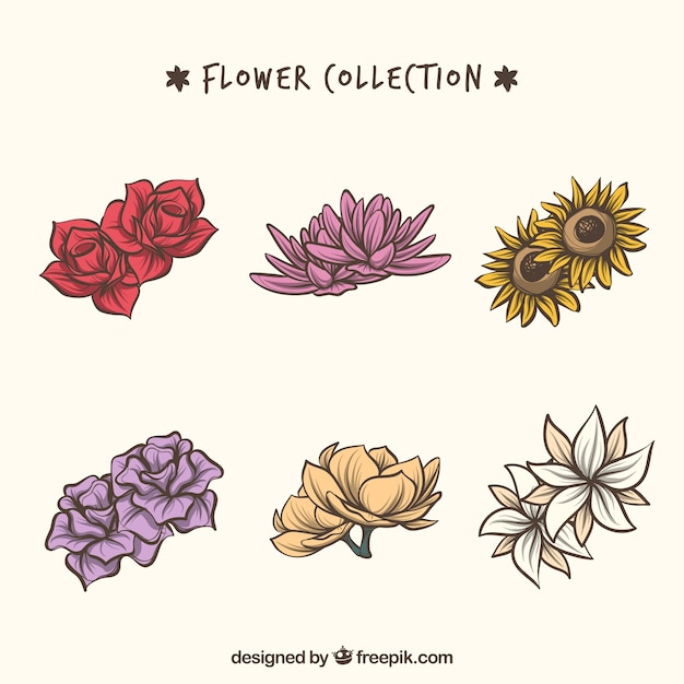 Set of flowers in hand drawn style