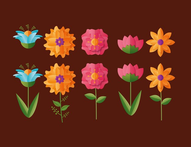 Set of flowers nature