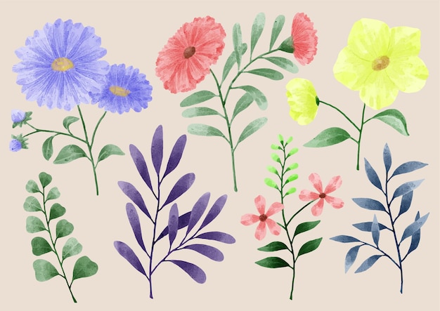 A set of flowers painted with watercolors to accompany various cards and greeting cards