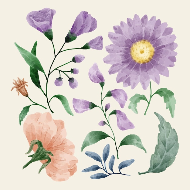 さまざまなカードやグリーティングカードに添えるために水彩で描かれた花のセット。