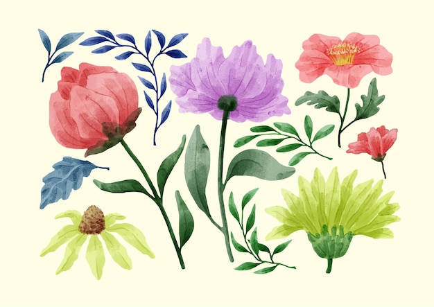 A set of flowers painted with watercolors to accompany various cards and greeting cards