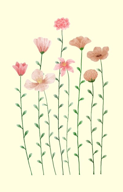 A set of flowers painted with watercolors to accompany various cards and greeting cards