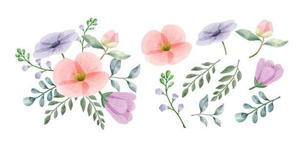 Free vector a set of flowers painted with watercolors