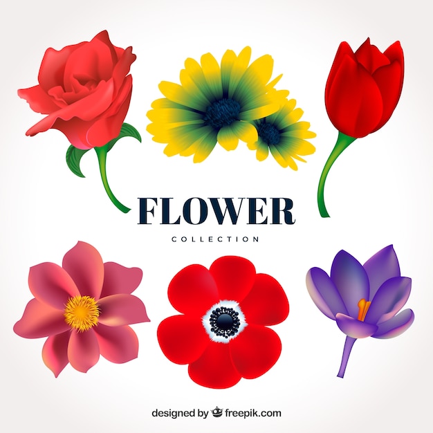 Free vector set of flowers in realistic style