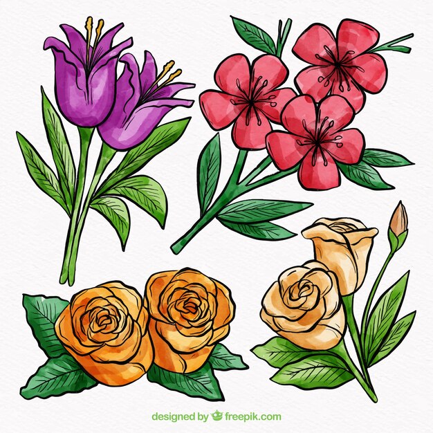 Set of flowers in watercolor style