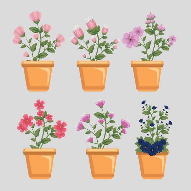 Free vector set of flowers with leaves and petals inside plant pots