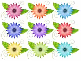 Free vector set of flowers