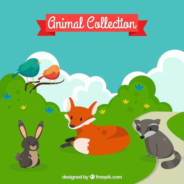 Set of forest animals in the nature