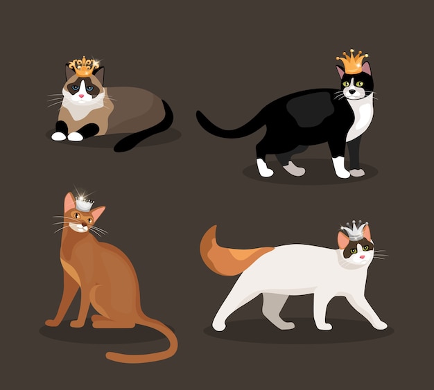 Free vector set of four cats wearing crowns with different colored fur one standing  walking  lying and sitting  vector illustration