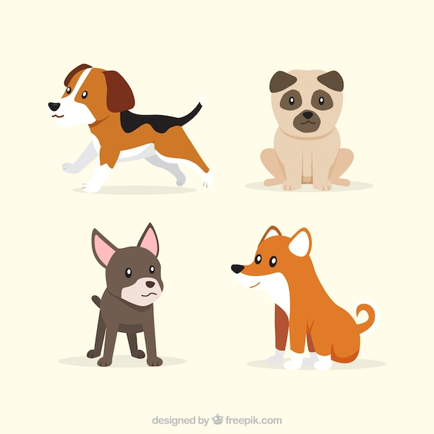 フラットデザインの4つのかわいい子犬のセット