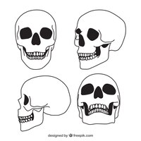 Set of four hand-drawn skulls