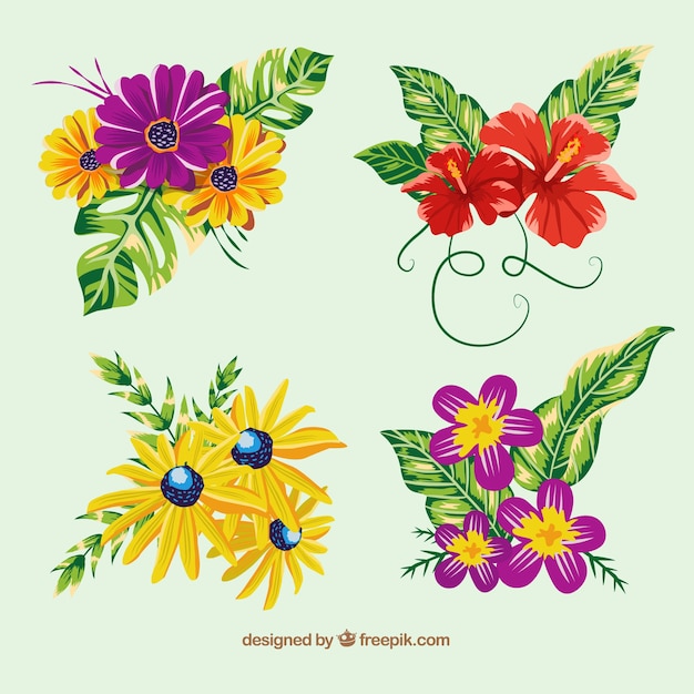 4つの手描きの熱帯の花のセット
