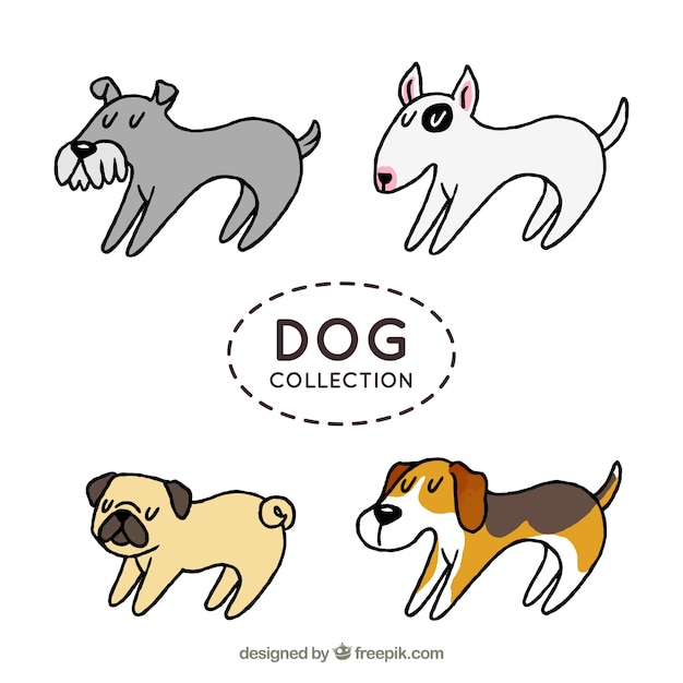 Free vector set of four profile dogs in hand-drawn style