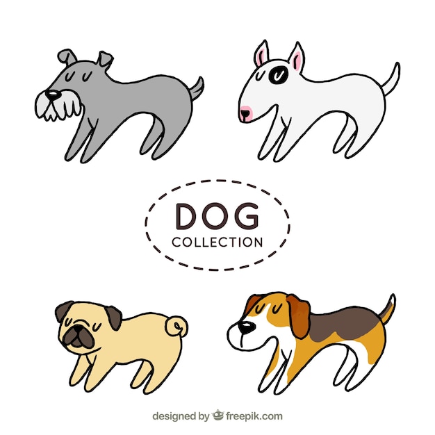 手描きのスタイルで4つのプロファイル犬のセット