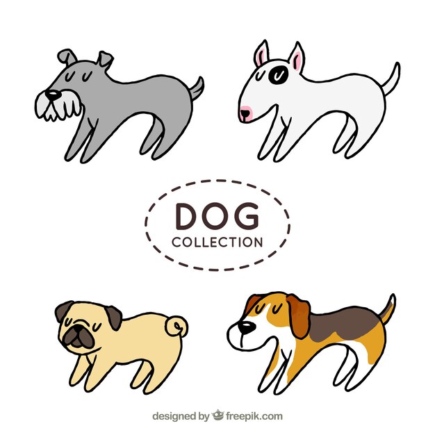 Set of four profile dogs in hand-drawn style