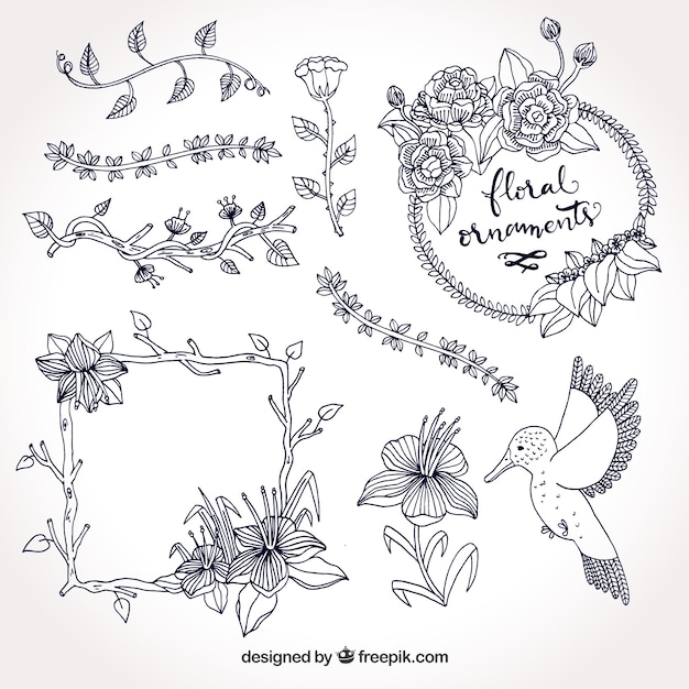 Free vector set of frames and hand drawn natural elements