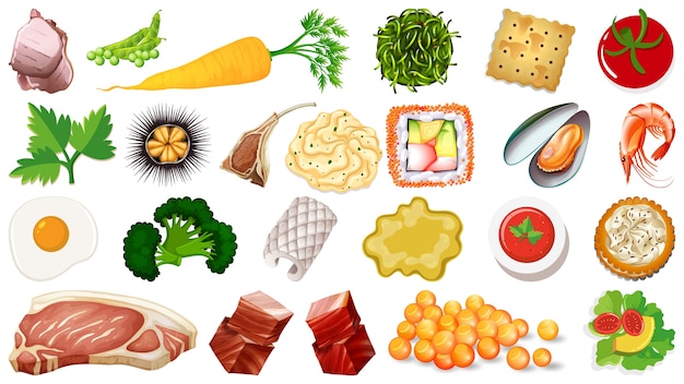 Free vector set of fresh food ingredients